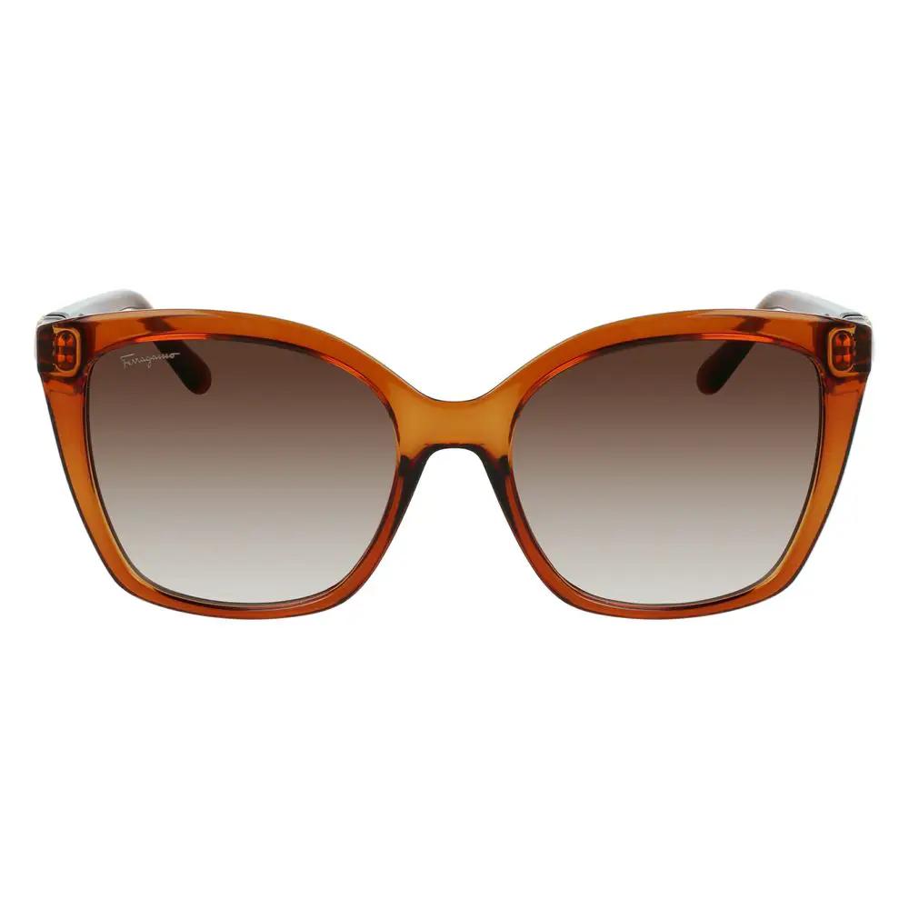 Lunettes de soleil Ferragamo marron injectées