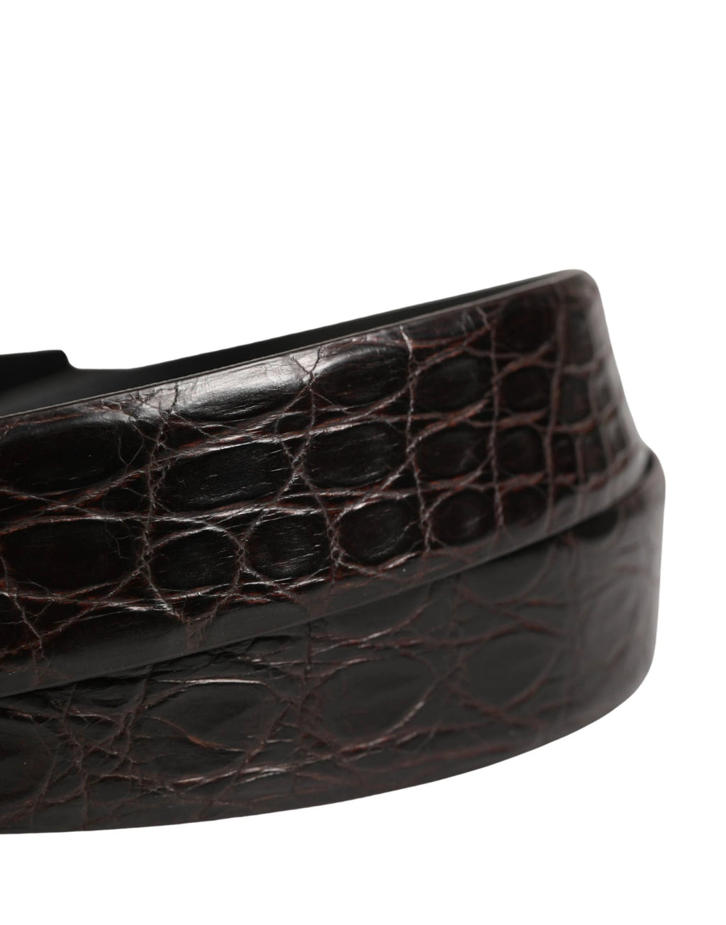 Ceinture Dolce &amp; Gabbana pour homme en cuir exotique noir avec boucle logo