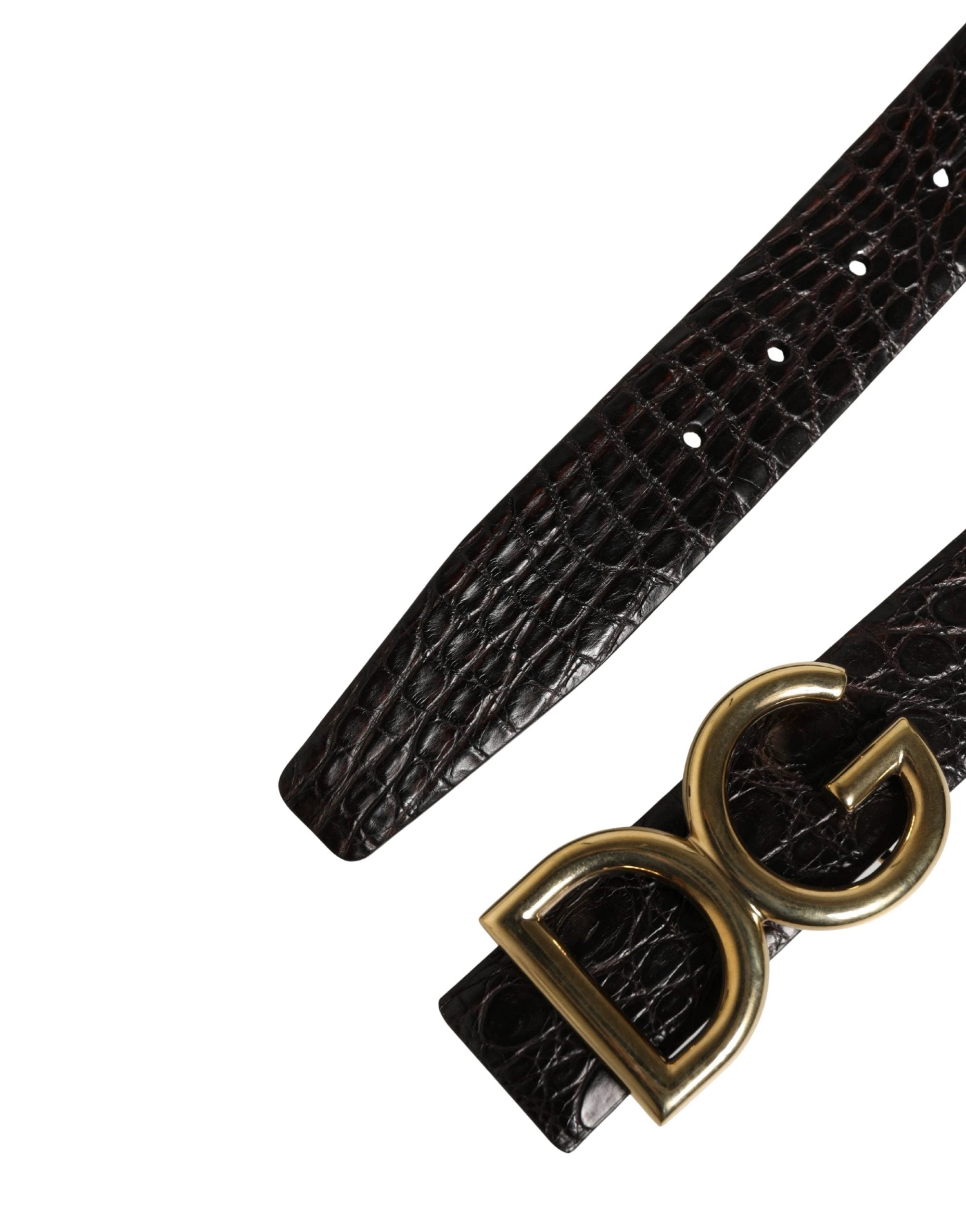 Ceinture Dolce &amp; Gabbana pour homme en cuir exotique noir avec boucle logo