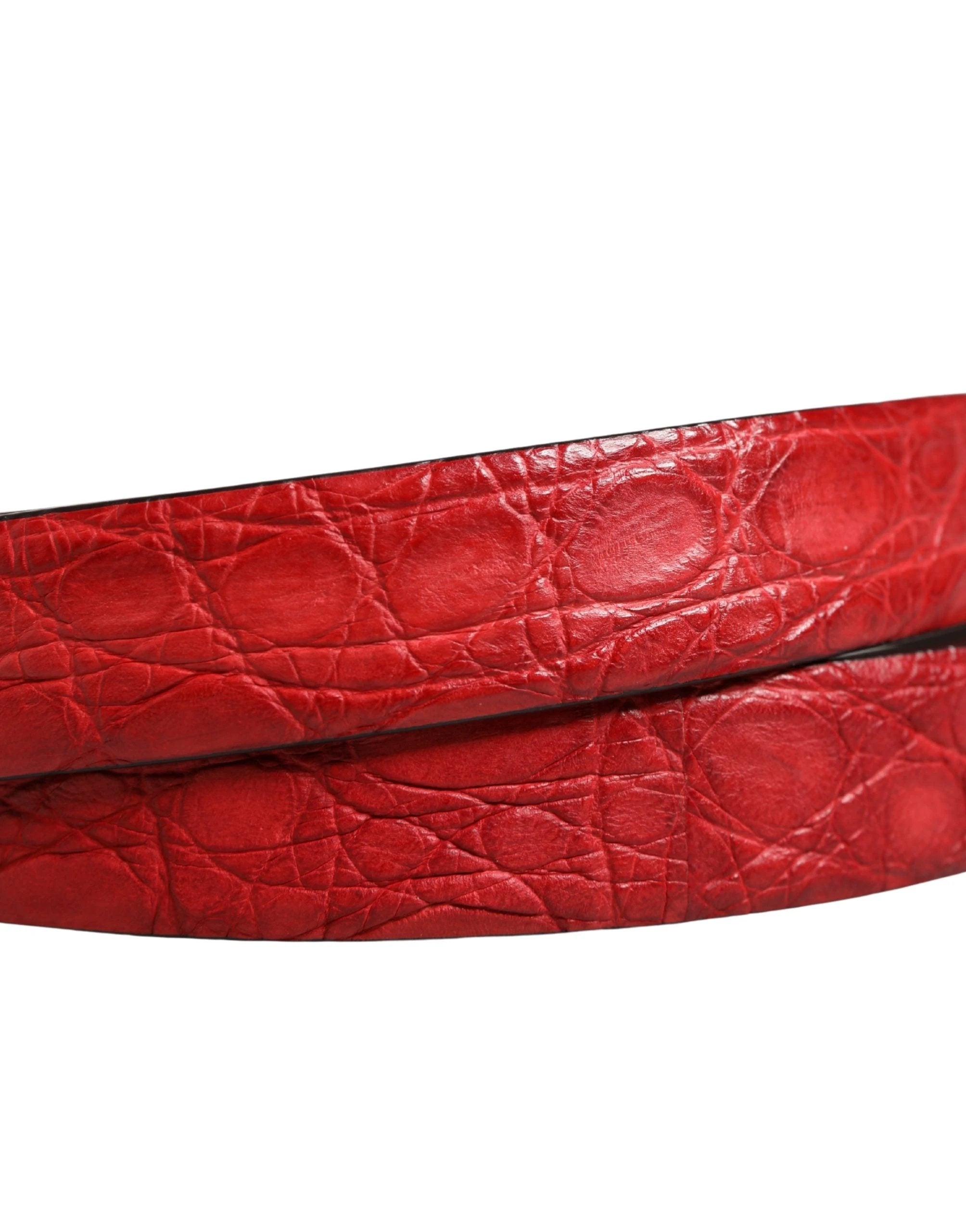 Dolce & Gabbana Men Red Exotic Leather Metal Buckle Belt