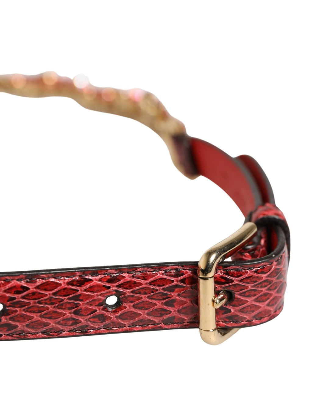 Ceinture Dolce &amp; Gabbana en cuir rouge ornée de cristaux et de marguerites
