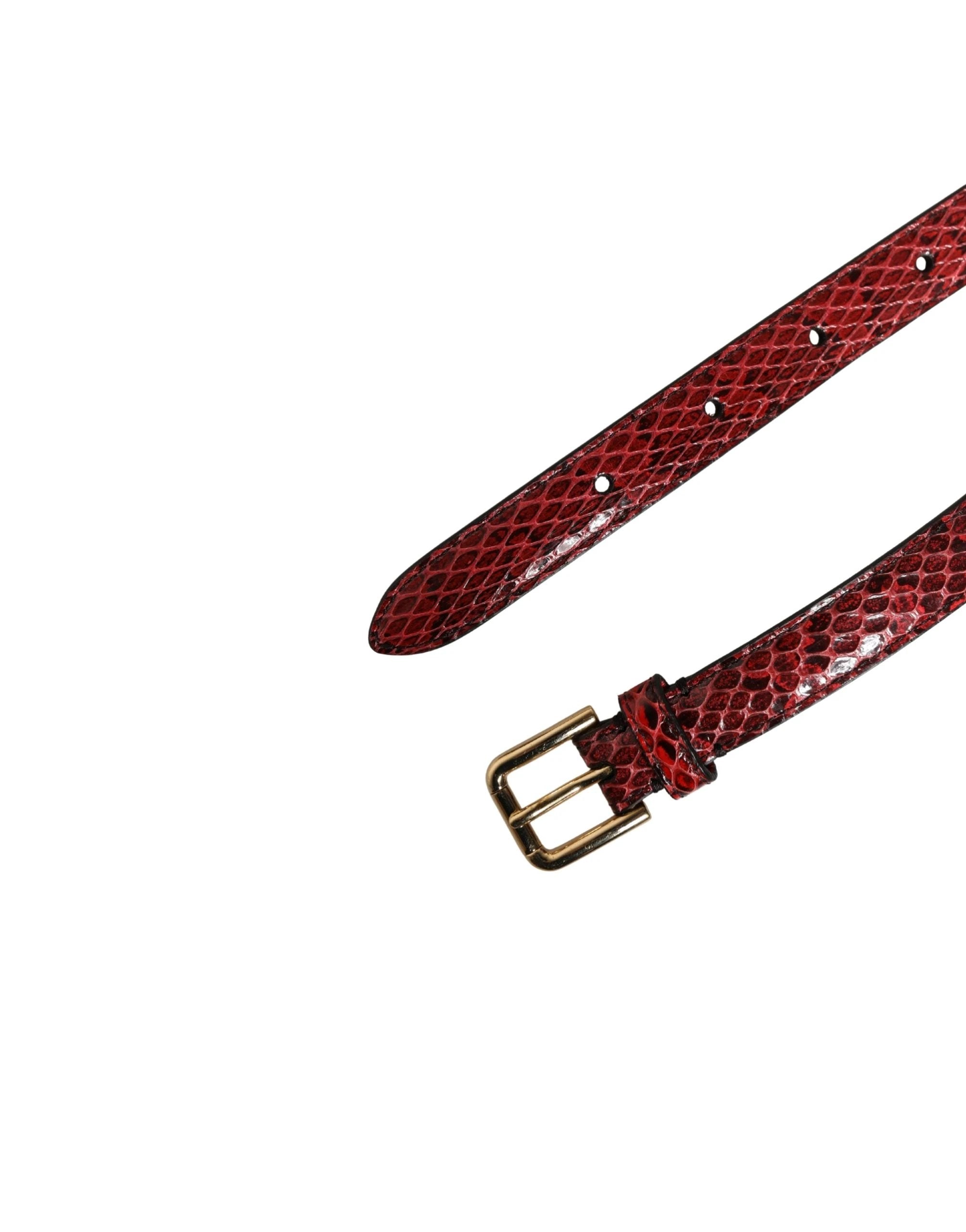 Ceinture Dolce &amp; Gabbana en cuir rouge ornée de cristaux et de marguerites