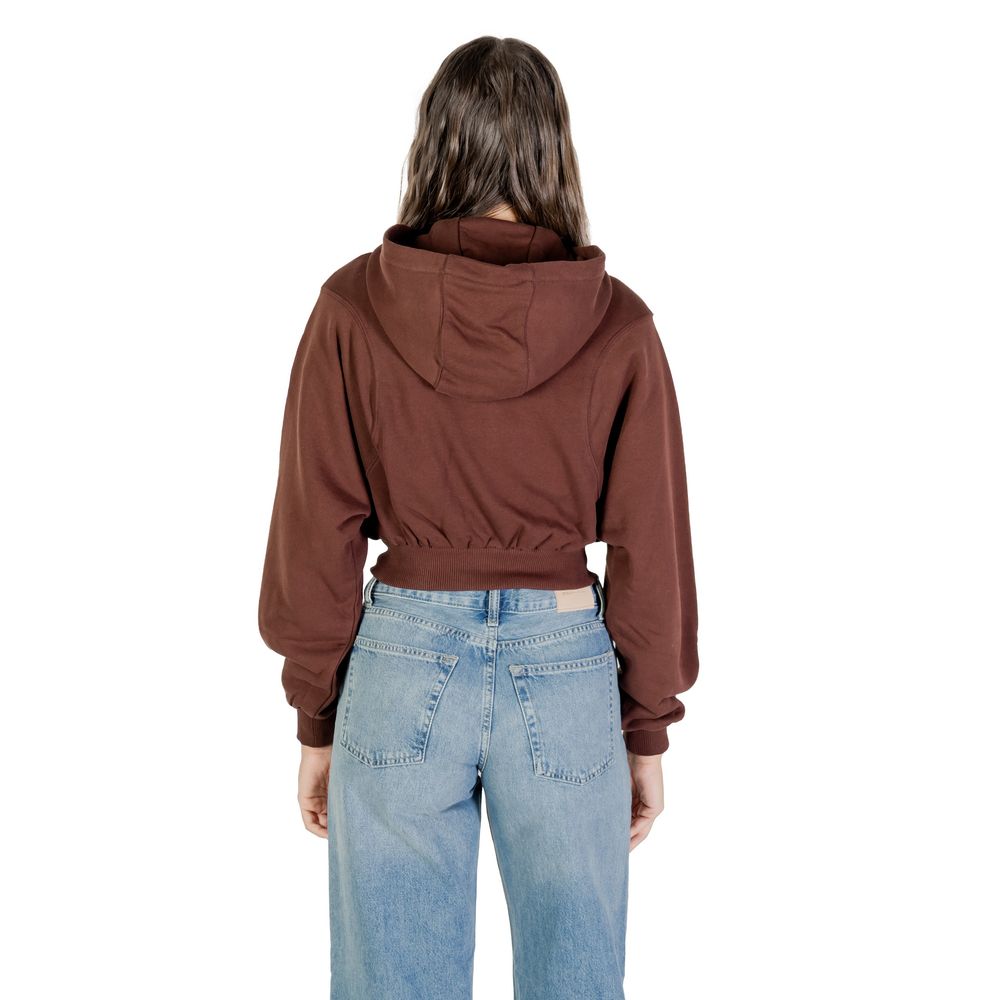 Sweat à capuche marron en coton recyclé Tommy Hilfiger Jeans