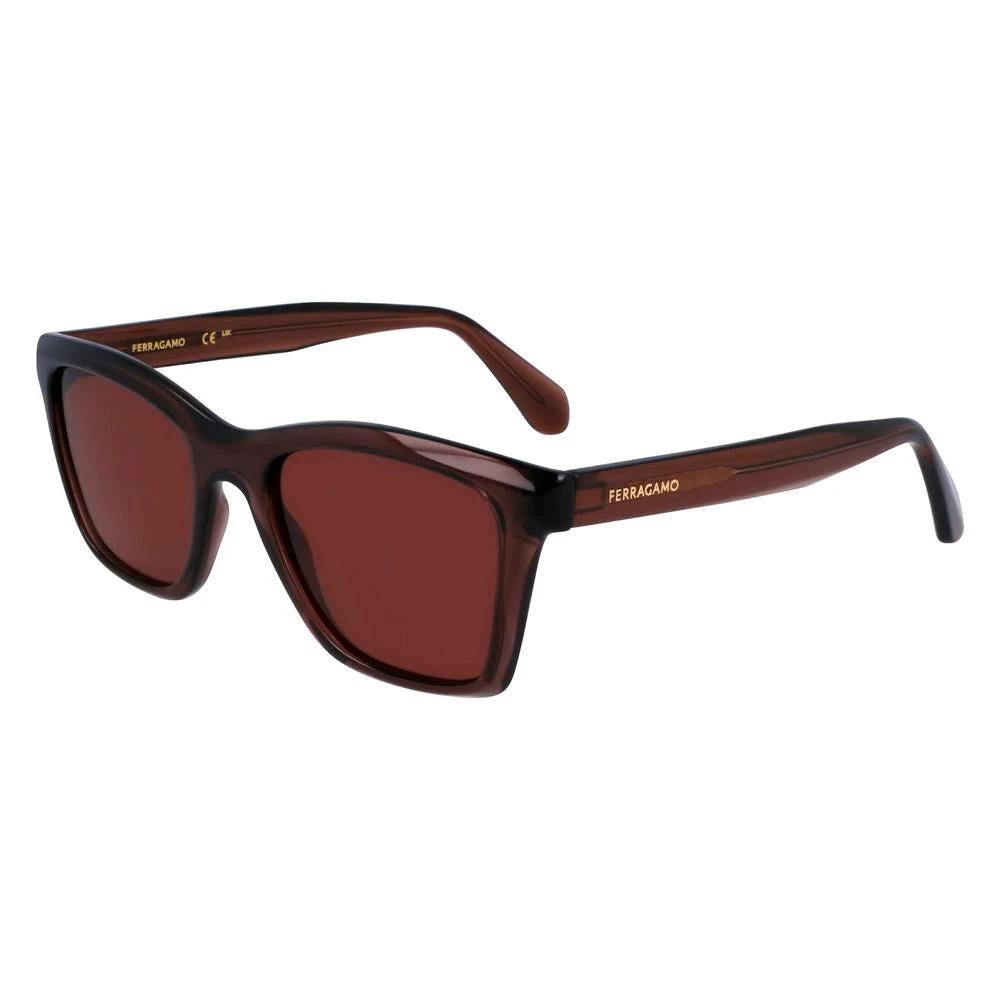 Lunettes de soleil Ferragamo marron injectées