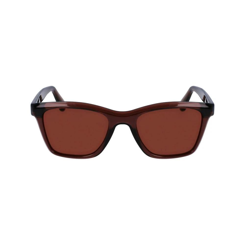 Lunettes de soleil Ferragamo marron injectées