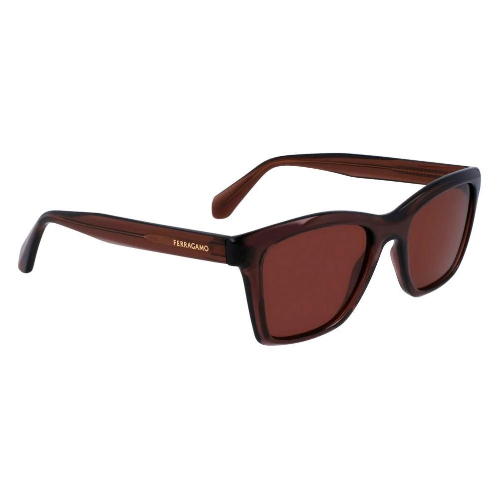 Lunettes de soleil Ferragamo marron injectées
