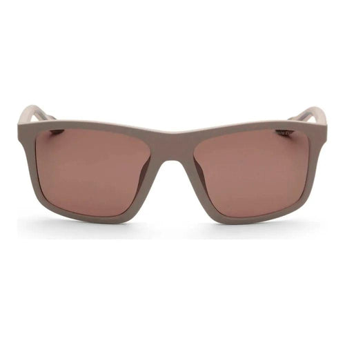 Armani Exchange Brown Injected Sunglasses