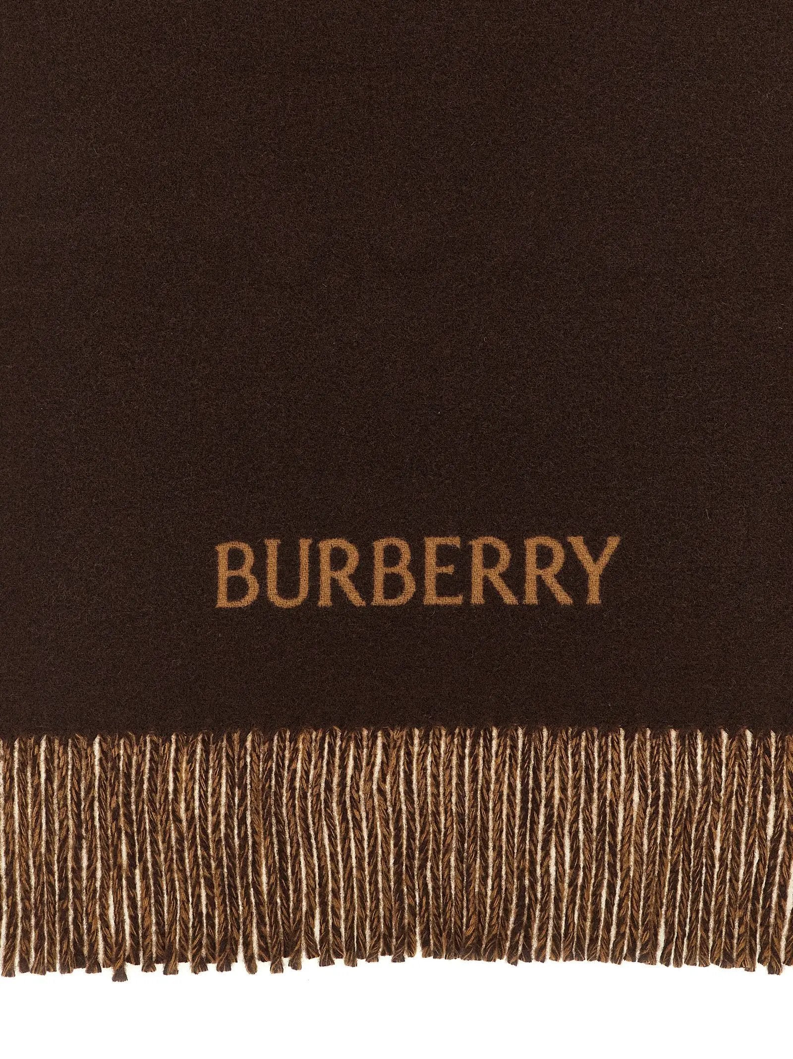 Burberry Multicolor Cashmere Scarf