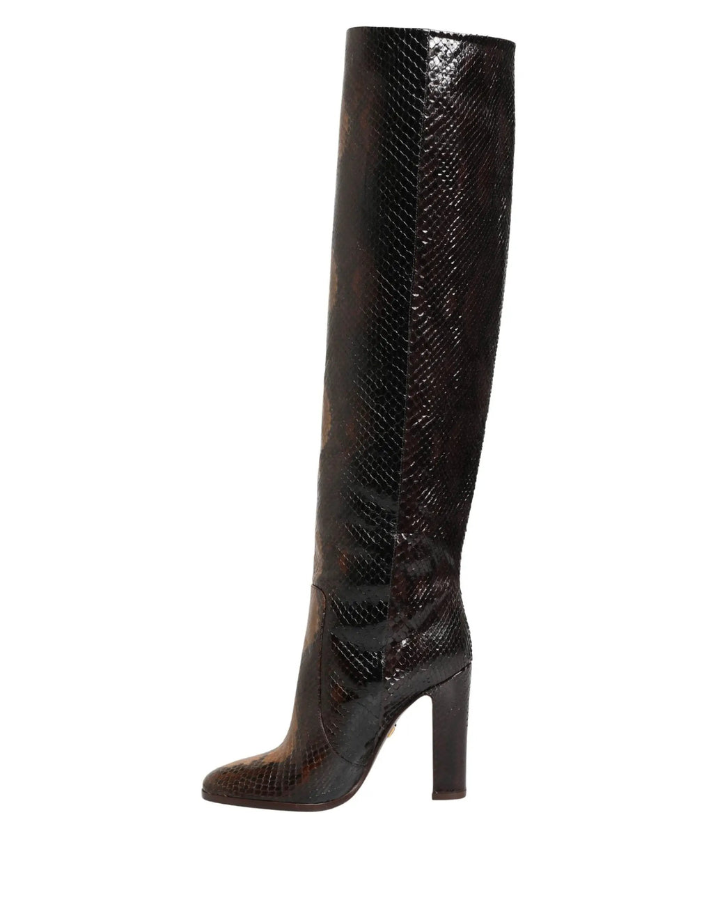 Bottes hautes Dolce & Gabbana en cuir exotique marron