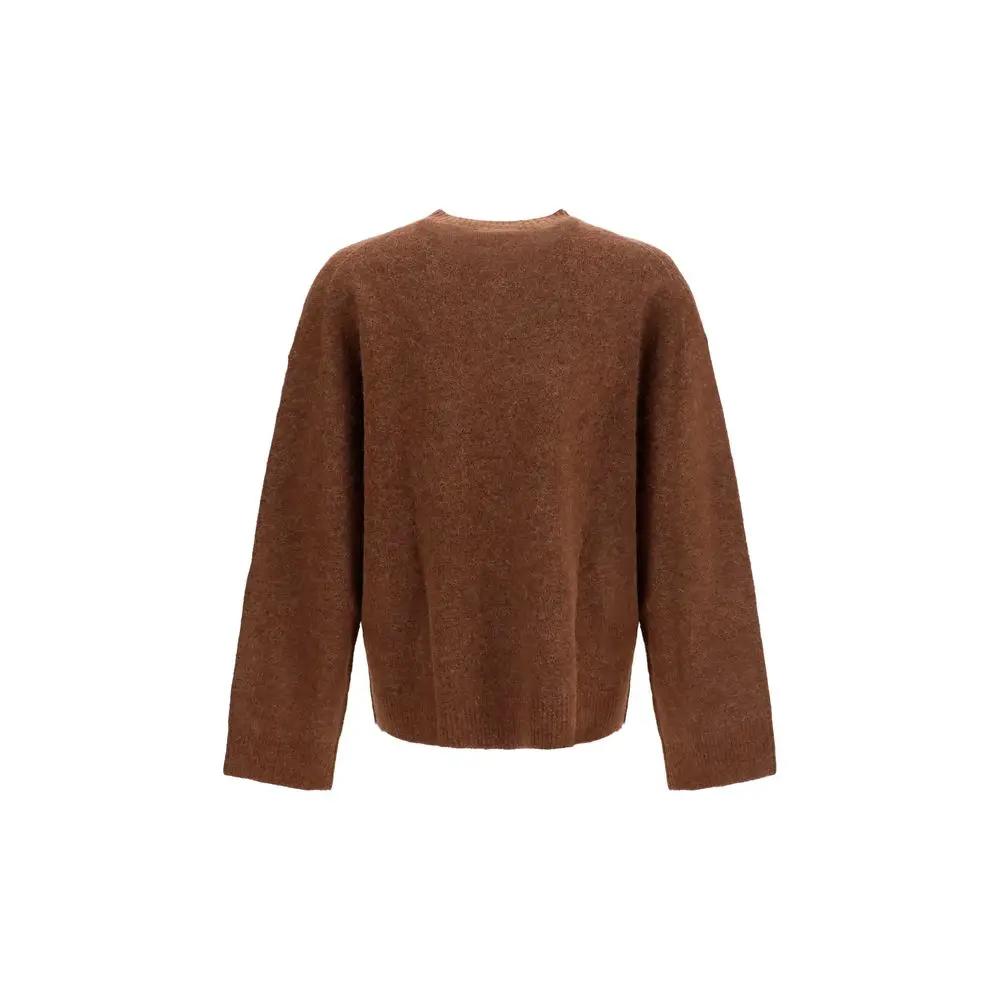 Represent Brown Alpaca Vicugna Pacos Sweatshirt