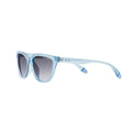 Armani Exchange Armani Exchange Blue Acetate Sunglasses