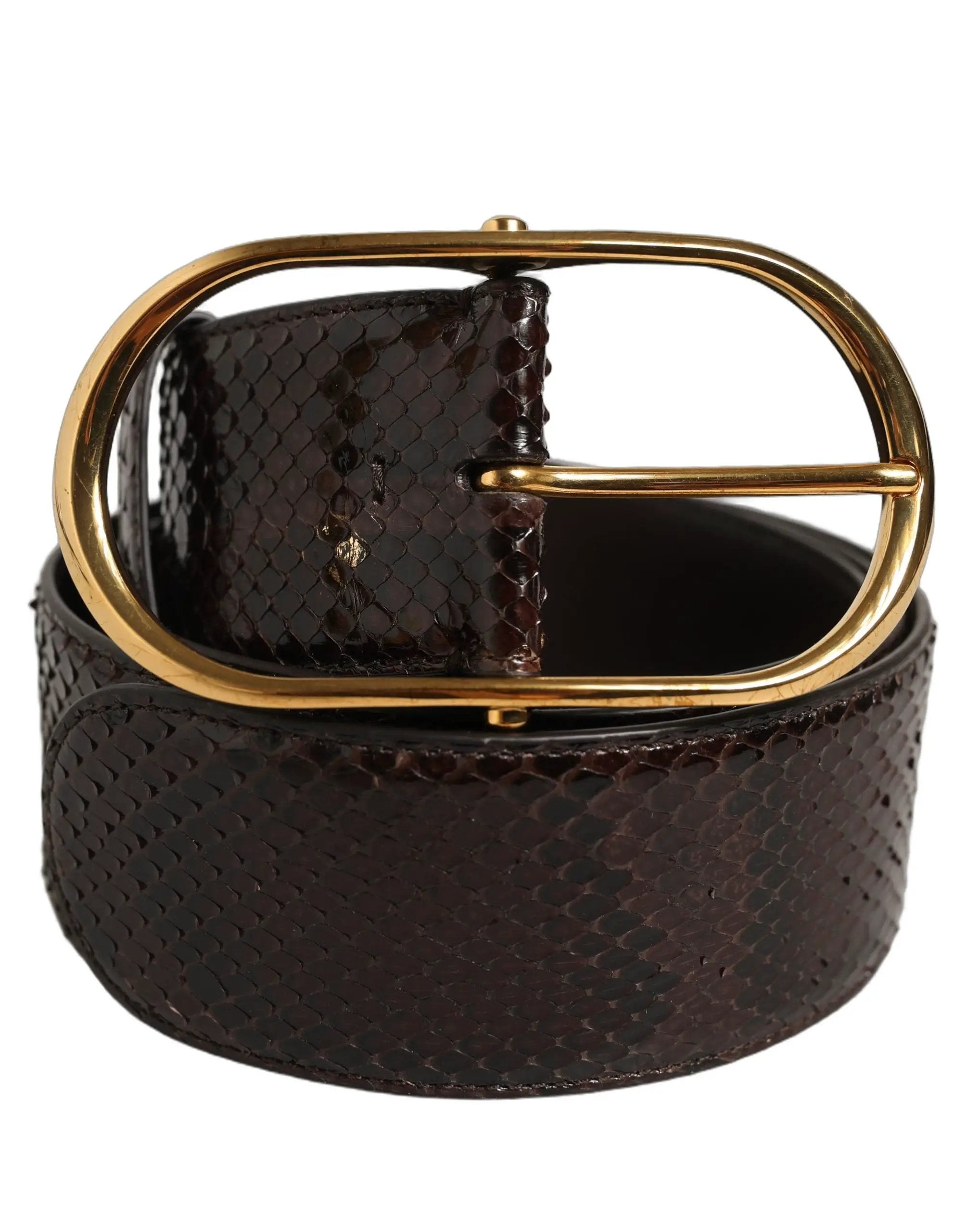 Ceinture Dolce &amp; Gabbana en cuir de python marron avec boucle en métal doré