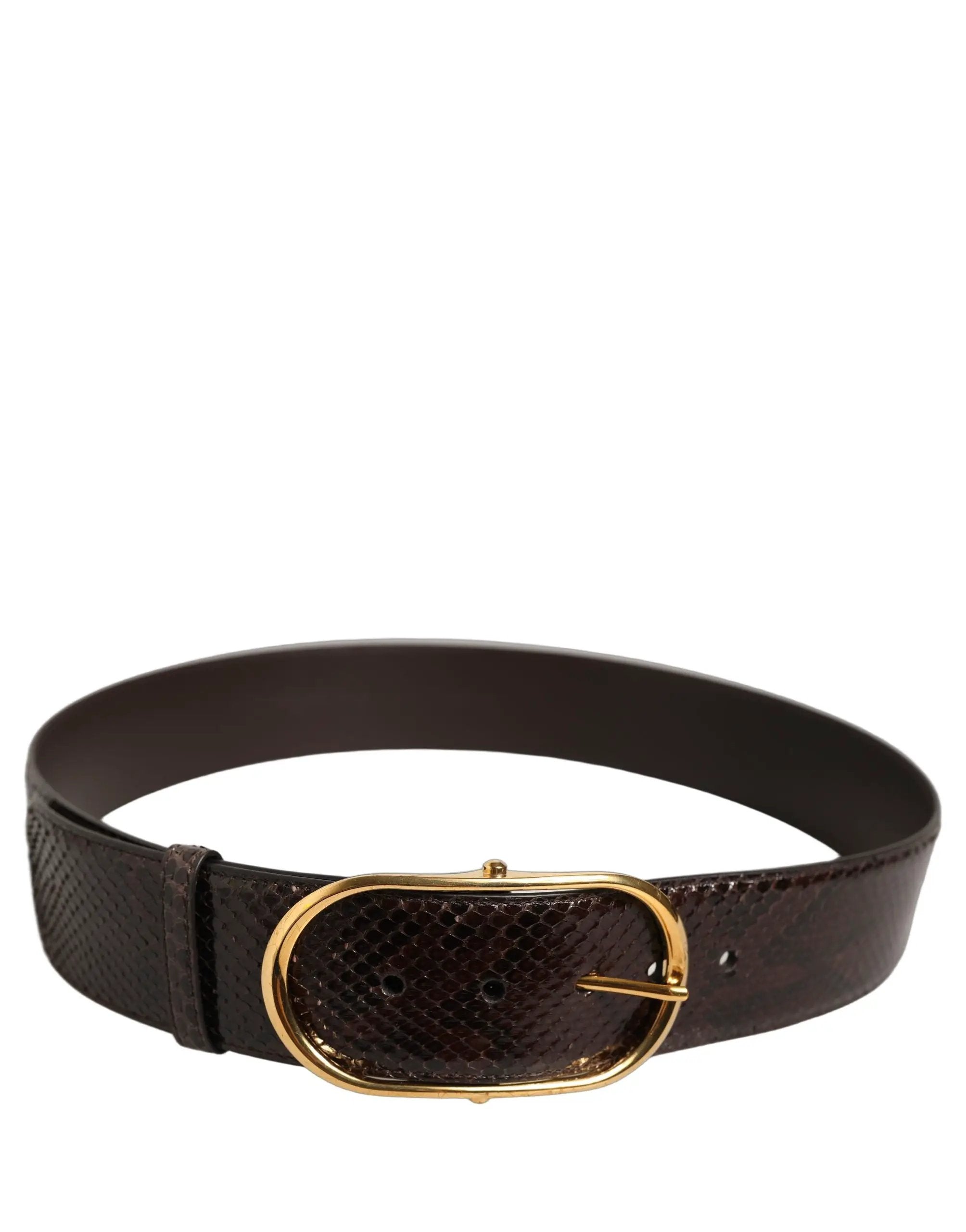 Ceinture Dolce &amp; Gabbana en cuir de python marron avec boucle en métal doré