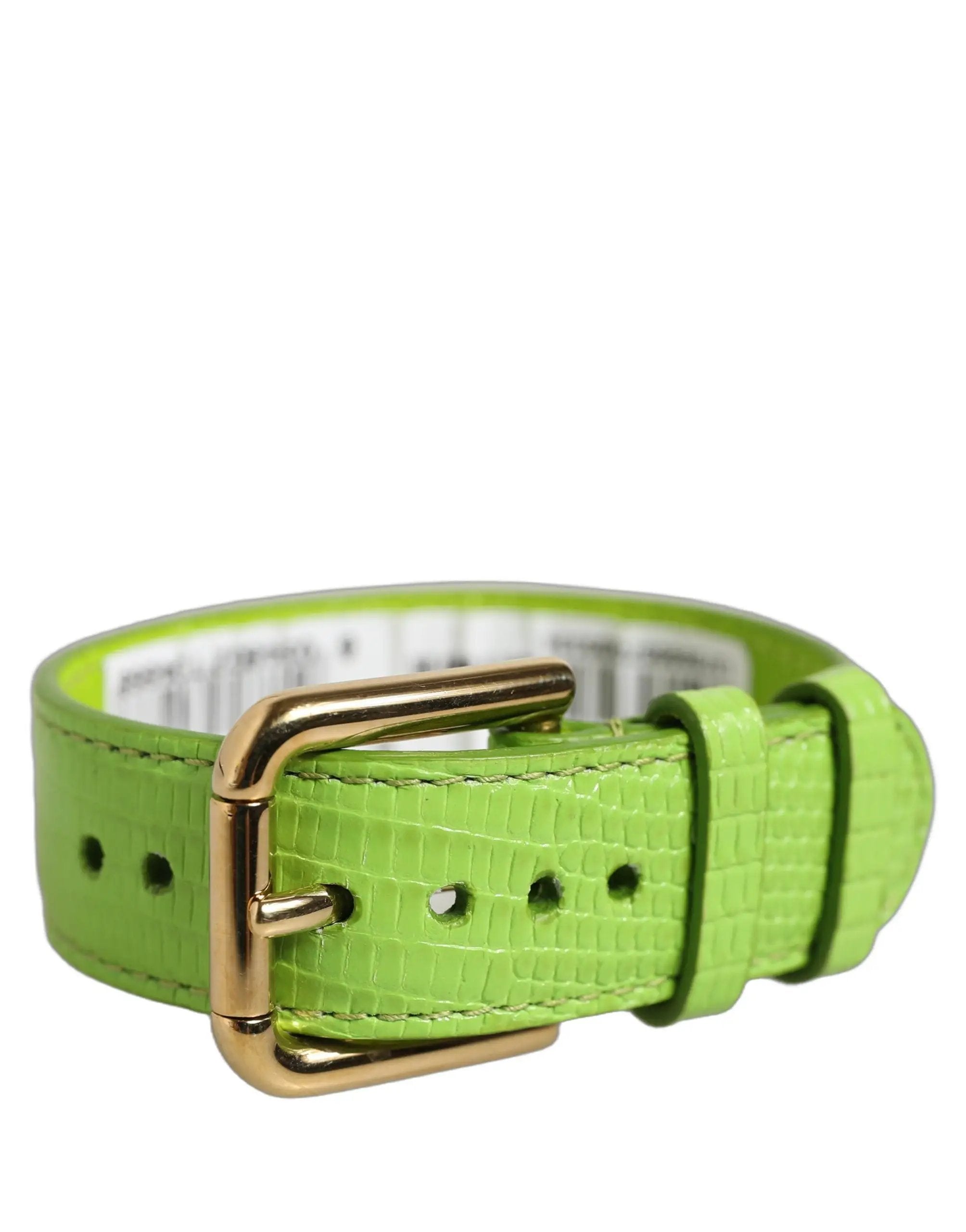 Bracelet Dolce & Gabbana en Cuir Texturé Vert avec Boucle Dorée