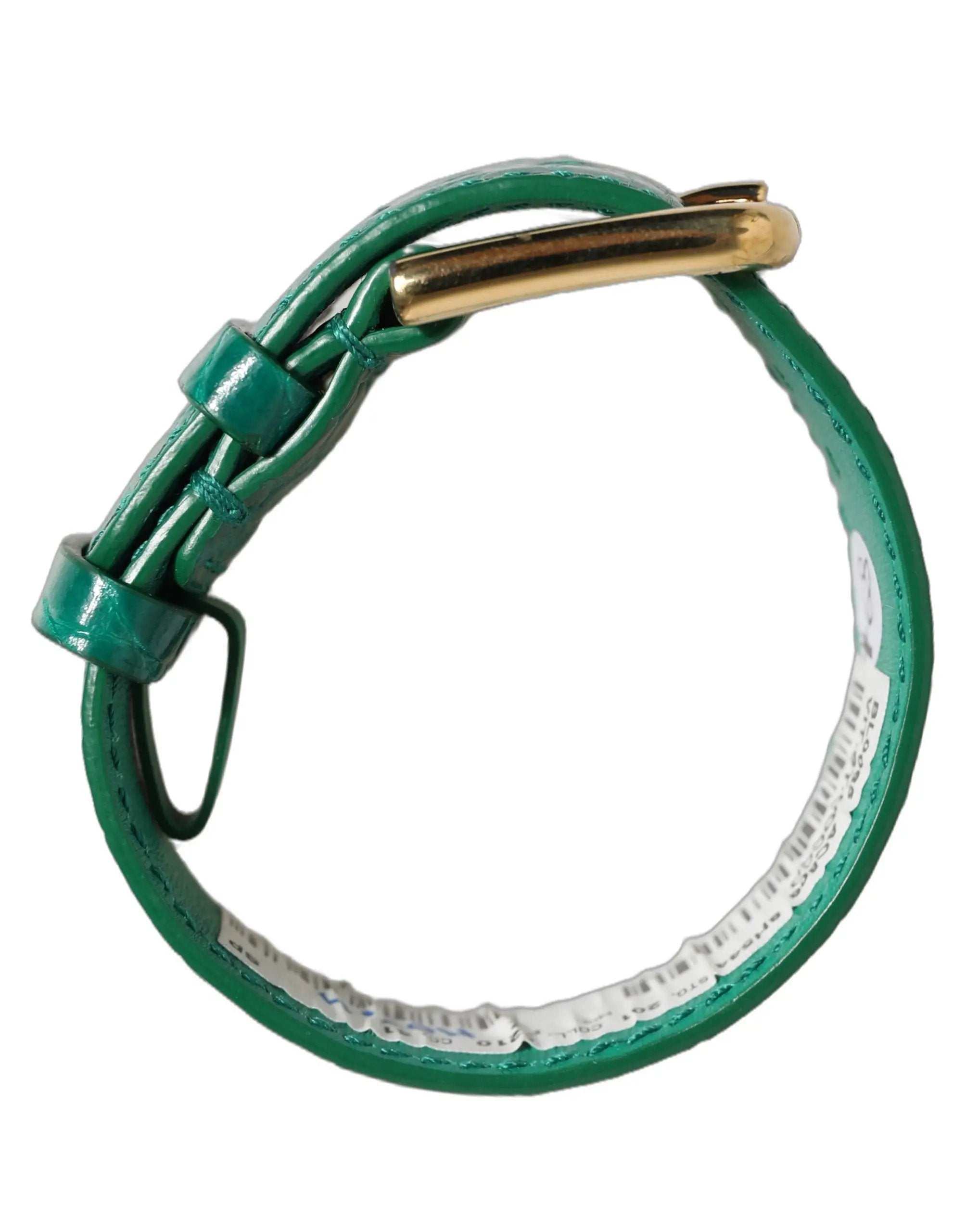 Bracelet de ceinture Dolce & Gabbana en cuir gaufré vert, boucle dorée