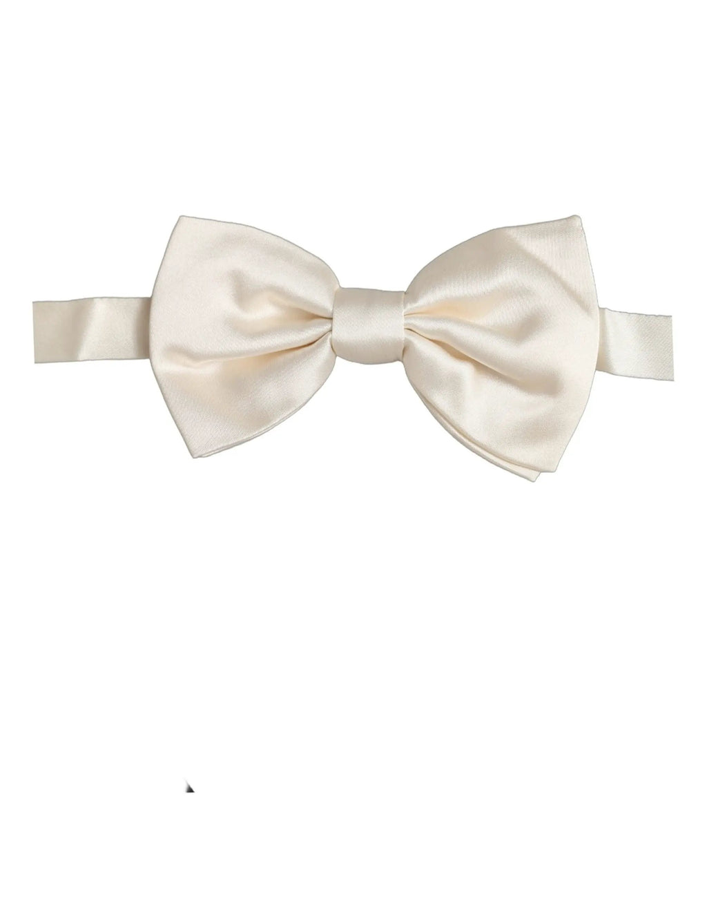 Dolce & Gabbana Homme Papillon Ajustable en Soie Blanche 100%