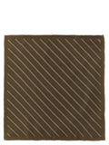 Brunello Cucinelli Brunello Cucinelli Brown Silk Foulard
