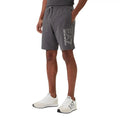 Short Bermuda EA7 Emporio Armani en Coton Gris