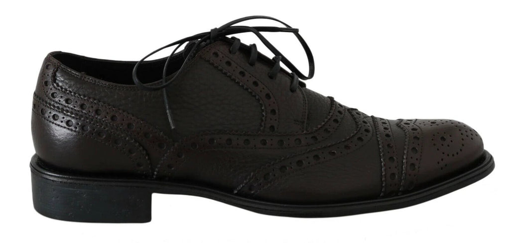 Dolce & Gabbana Brown Leather Wingtip Derby Formal Shoes by Dolce & Gabbana