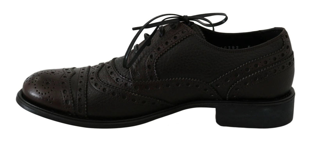 Dolce & Gabbana Brown Leather Wingtip Derby Formal Shoes by Dolce & Gabbana