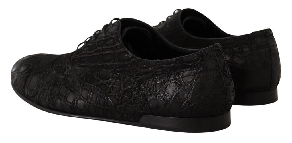 Dolce & Gabbana Black Caiman Leather Mens Oxford Shoes by Dolce & Gabbana