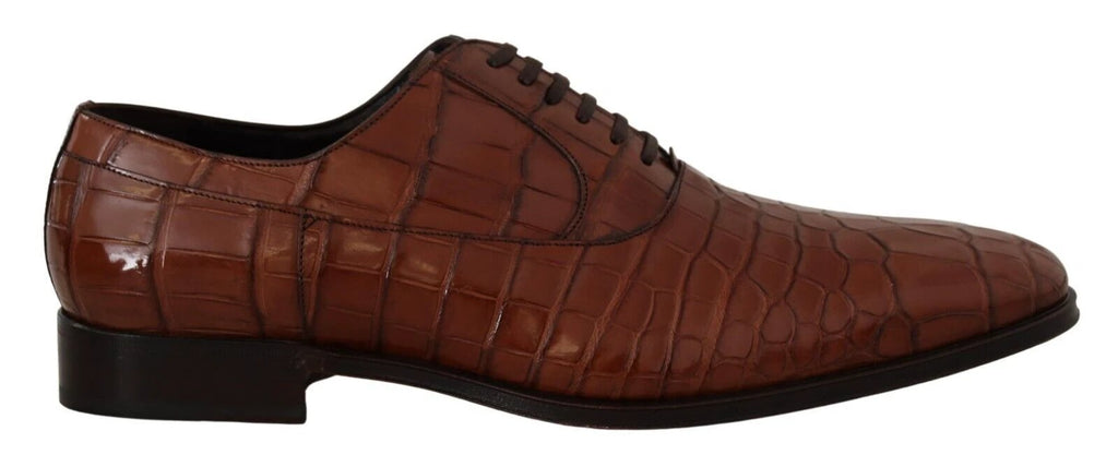 Dolce & Gabbana Brown Crocodile Leather Mens Formal Derby Shoes by Dolce & Gabbana
