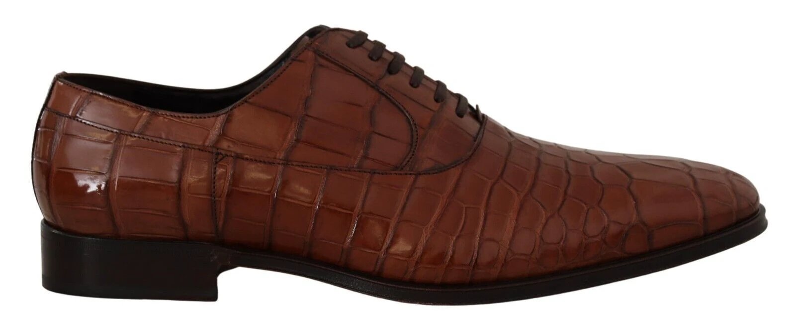 Dolce & Gabbana Brown Crocodile Leather Mens Formal Derby Shoes by Dolce & Gabbana