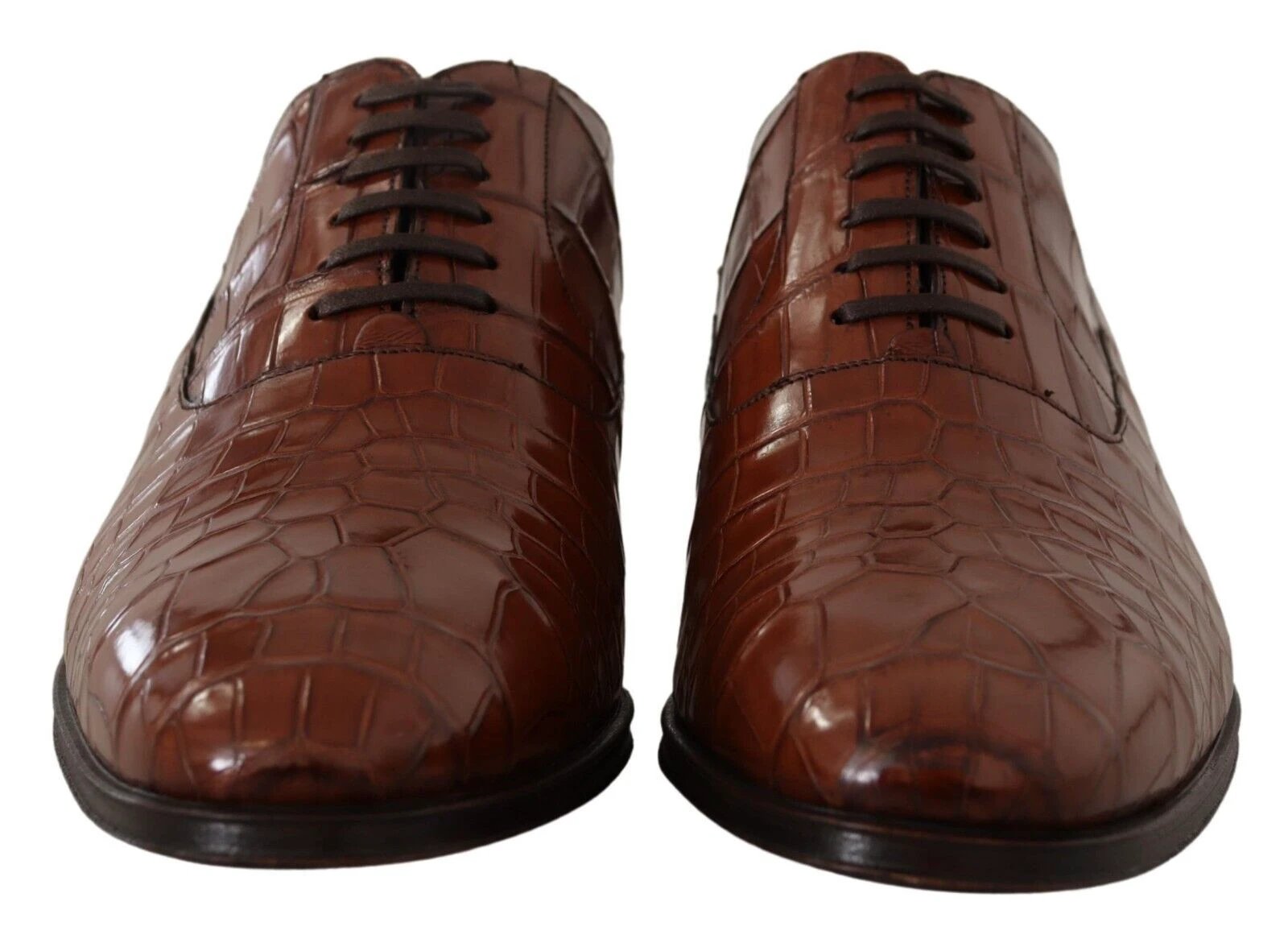 Dolce & Gabbana Brown Crocodile Leather Mens Formal Derby Shoes by Dolce & Gabbana