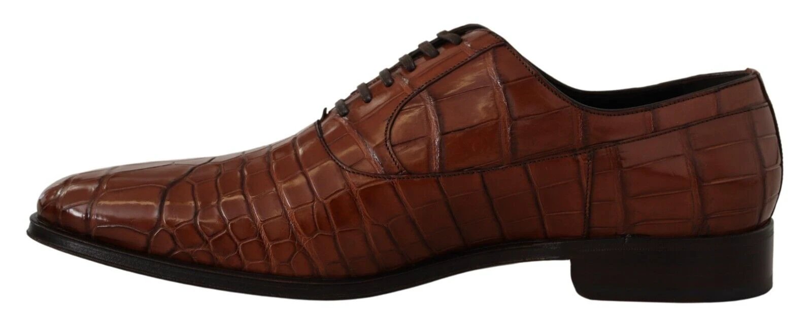 Dolce & Gabbana Brown Crocodile Leather Mens Formal Derby Shoes by Dolce & Gabbana