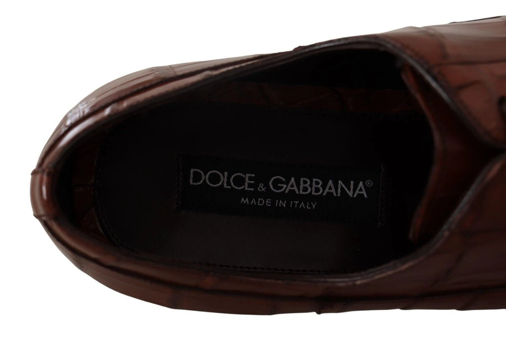 Dolce & Gabbana Brown Crocodile Leather Mens Formal Derby Shoes by Dolce & Gabbana