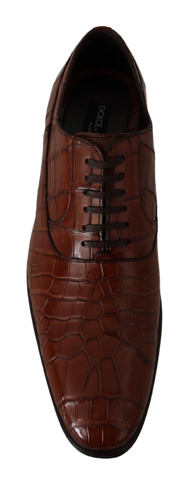 Dolce & Gabbana Brown Crocodile Leather Mens Formal Derby Shoes by Dolce & Gabbana