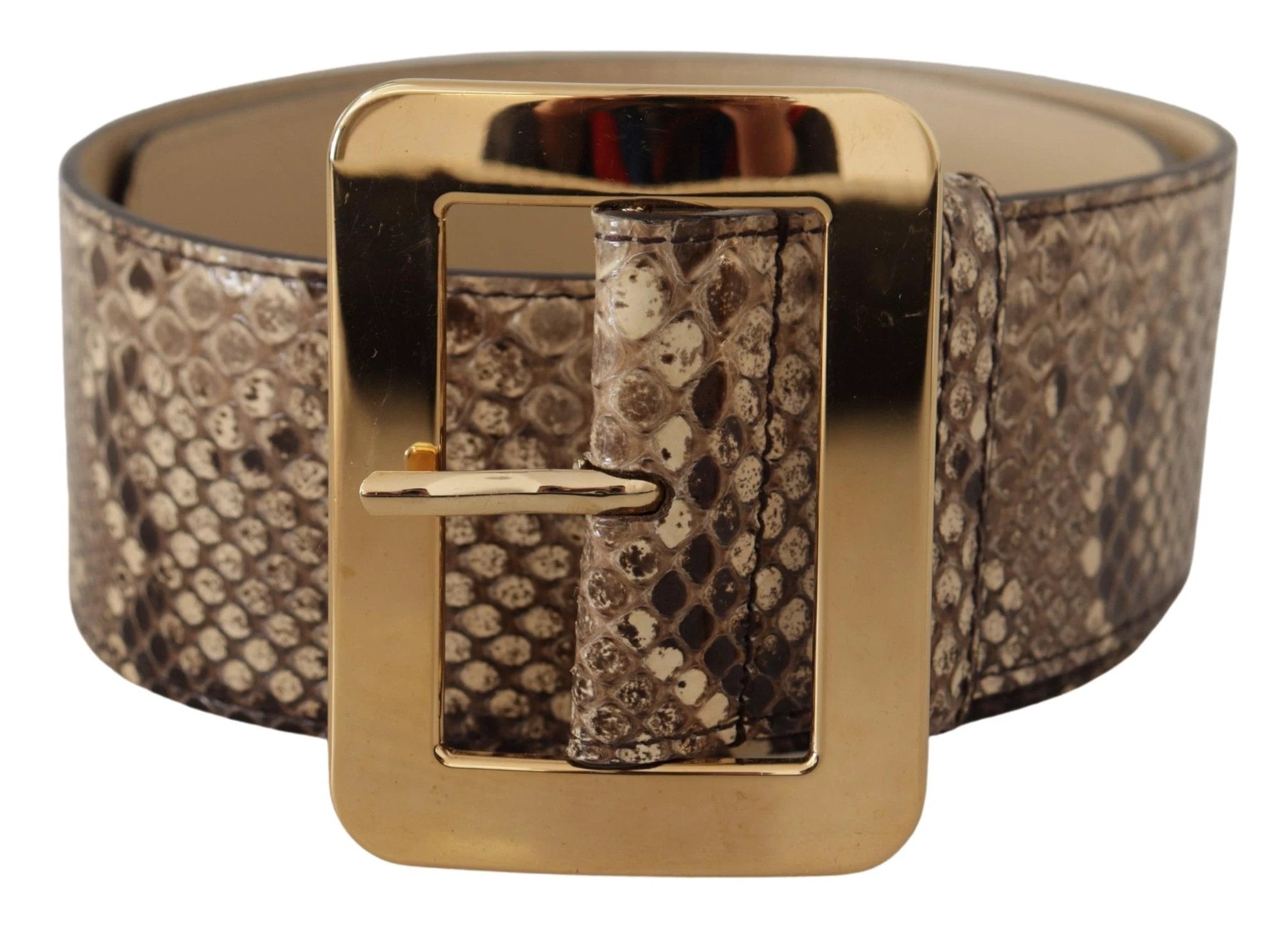 Dolce & Gabbana Brown Exotic Wide Waist Leather Gold Metal Buckle Belt by Dolce & Gabbana