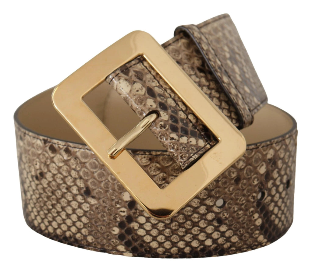 Dolce & Gabbana Brown Exotic Wide Waist Leather Gold Metal Buckle Belt by Dolce & Gabbana