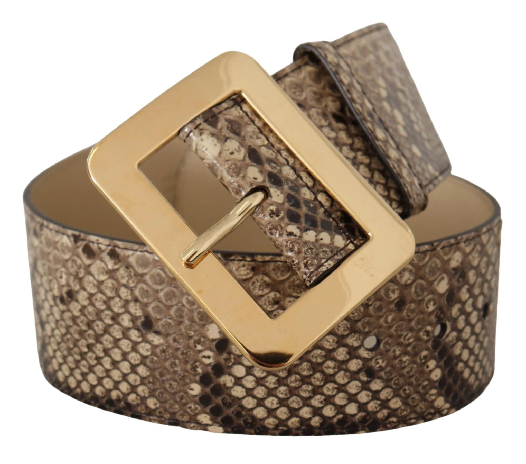 Dolce & Gabbana Brown Exotic Wide Waist Leather Gold Metal Buckle Belt by Dolce & Gabbana