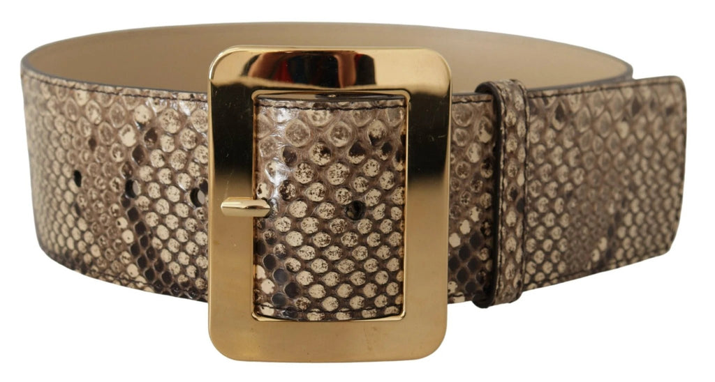 Dolce & Gabbana Brown Exotic Wide Waist Leather Gold Metal Buckle Belt by Dolce & Gabbana