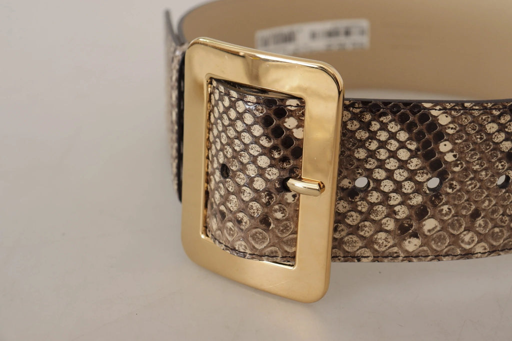 Dolce & Gabbana Brown Exotic Wide Waist Leather Gold Metal Buckle Belt by Dolce & Gabbana