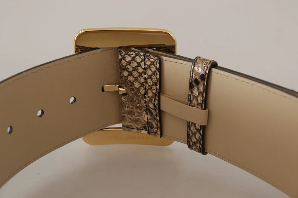 Dolce & Gabbana Brown Exotic Wide Waist Leather Gold Metal Buckle Belt by Dolce & Gabbana