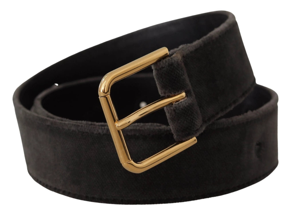 Dolce & Gabbana Brown Velvet Gold Tone Logo Metal Waist Buckle Belt by Dolce & Gabbana