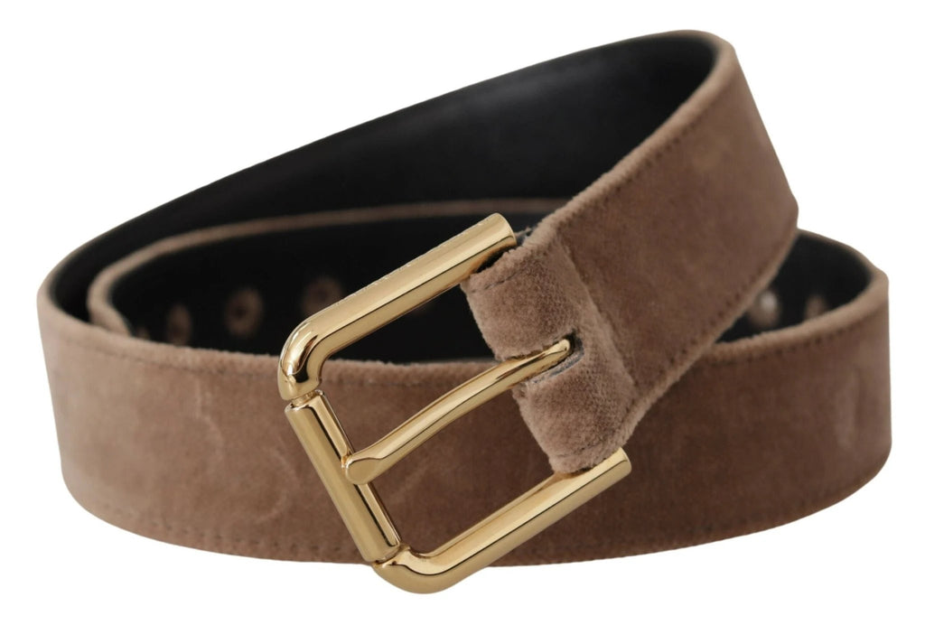 Dolce & Gabbana Light Brown Velvet Gold Tone Logo Metal Buckle Belt by Dolce & Gabbana