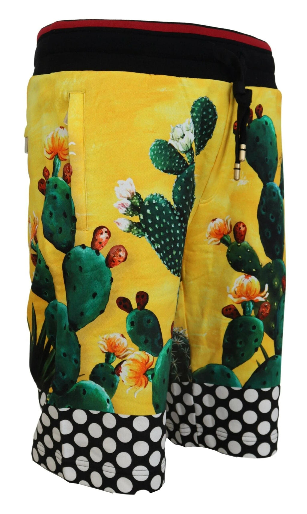 Dolce & Gabbana Multicolor Cactus Print Cotton Sweat Shorts by Dolce & Gabbana