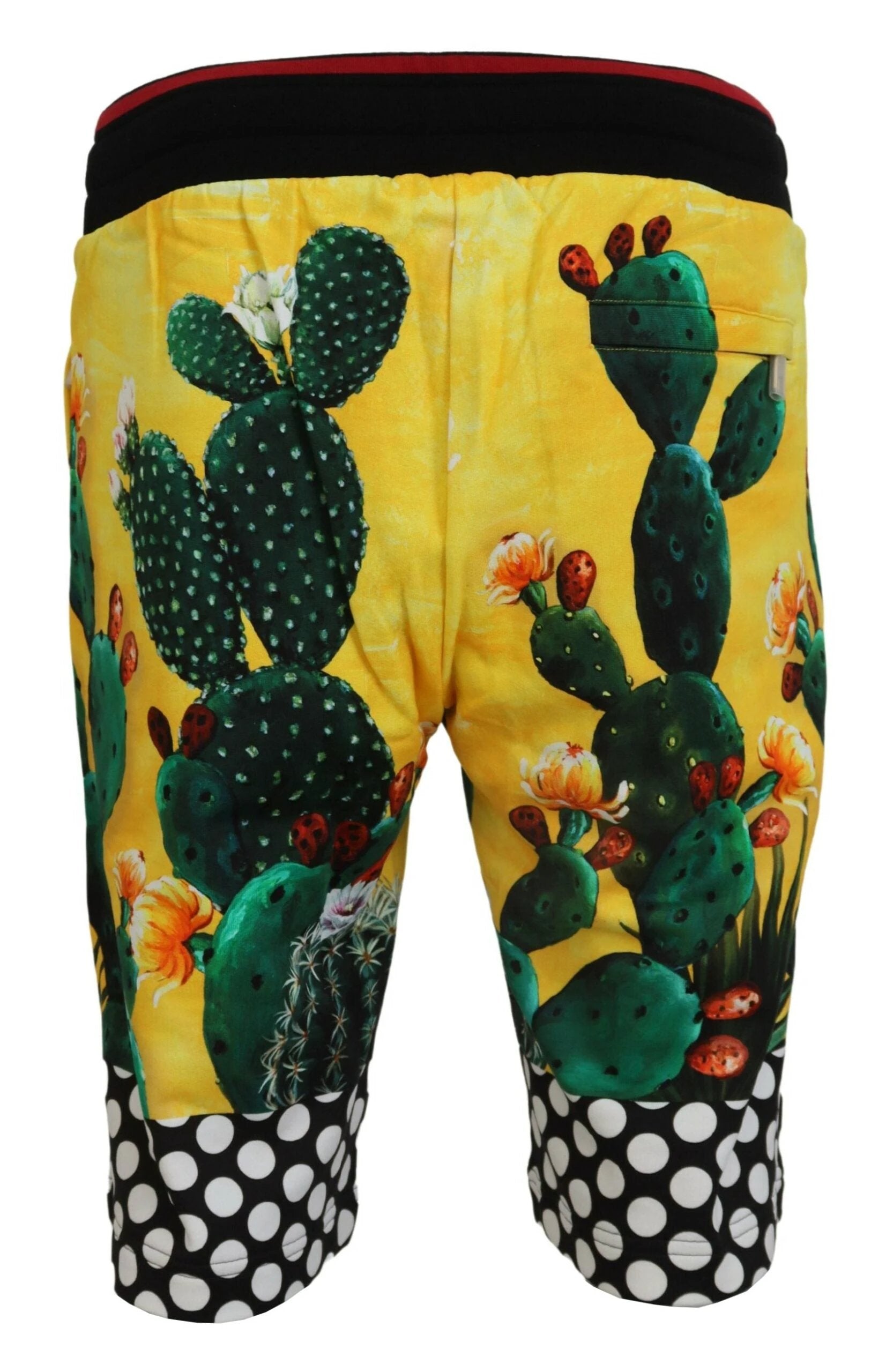 Dolce & Gabbana Multicolor Cactus Print Cotton Sweat Shorts by Dolce & Gabbana