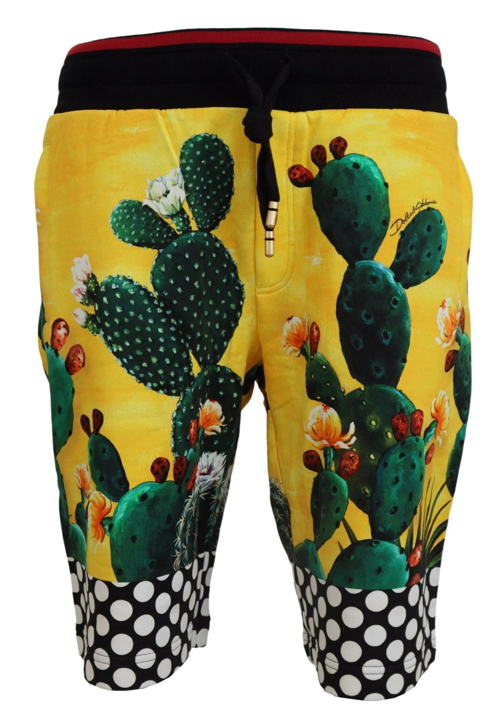 Dolce & Gabbana Multicolor Cactus Print Cotton Sweat Shorts by Dolce & Gabbana