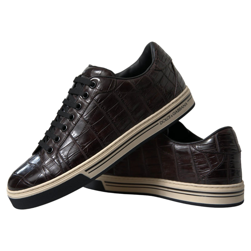 Dolce & Gabbana Brown Croc Exotic Leather Men Casual Sneakers Shoes by Dolce & Gabbana