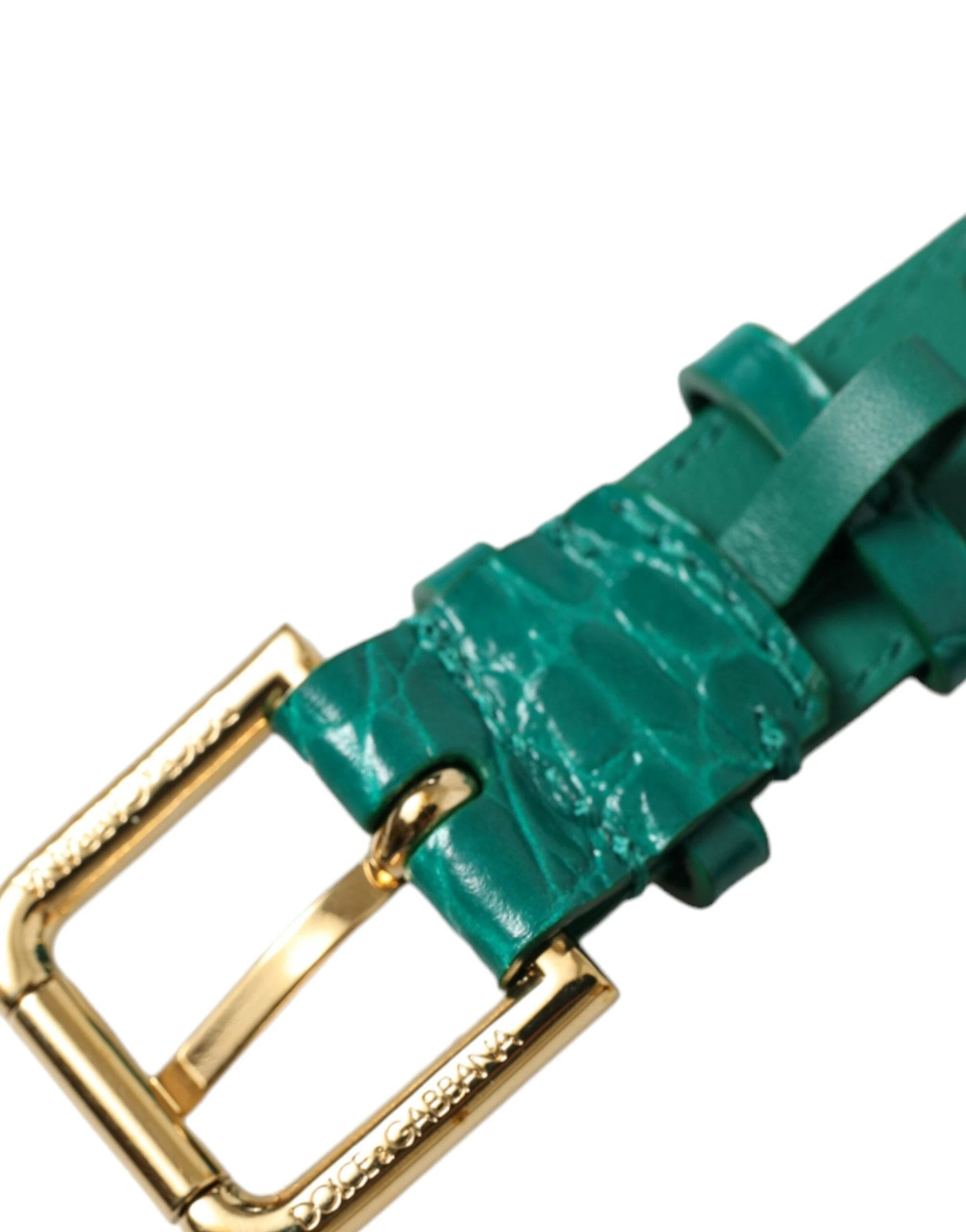Dolce & Gabbana Green Textured Leather Gold Tone Metal Buckle Neckband by Dolce & Gabbana