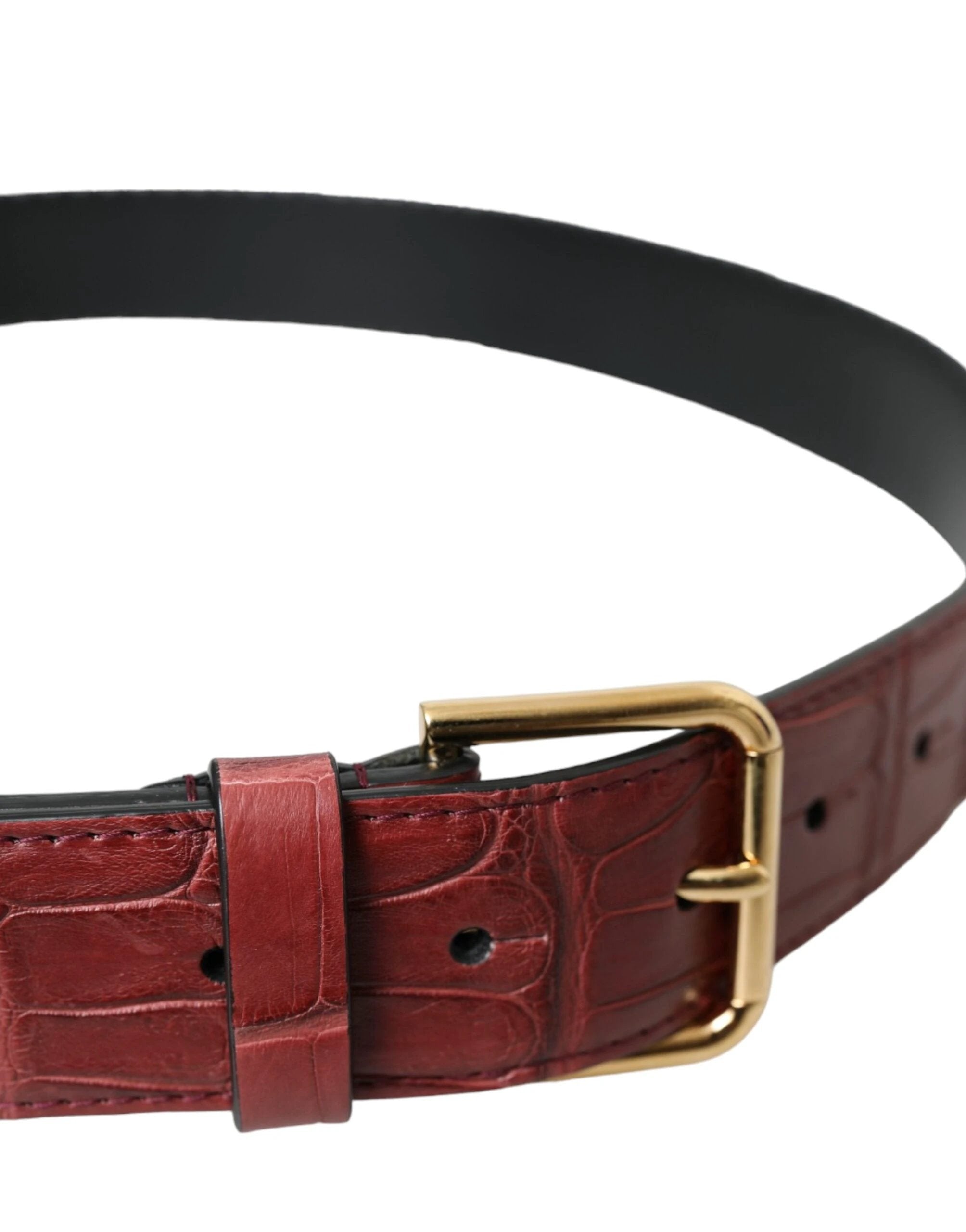 Dolce & Gabbana Brown Alligator Leather Studded Metal Buckle Belt by Dolce & Gabbana