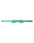 Dolce & Gabbana Mint Green Silk Adjustable Neck Men Bow Tie by Dolce & Gabbana