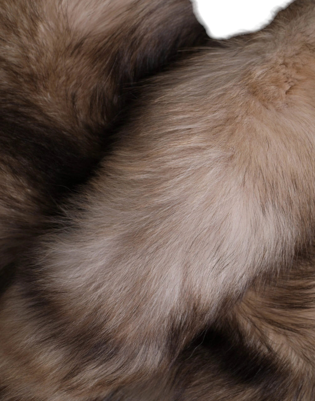 Dolce & Gabbana Brown Frost Fox Fur Neck Warmer Winter Scarf by Dolce & Gabbana