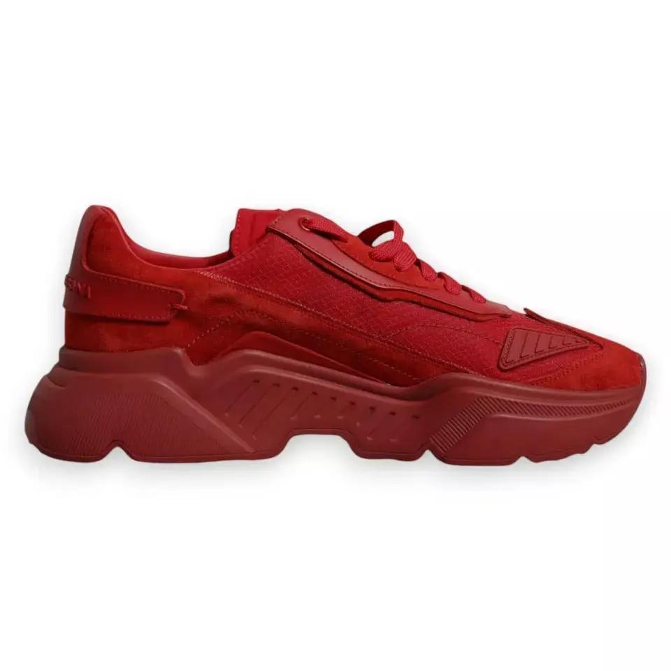 Baskets basses Dolce &amp; Gabbana Daymaster en cuir rouge