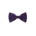 Dolce & Gabbana Purple Silk Bowtie by Dolce & Gabbana