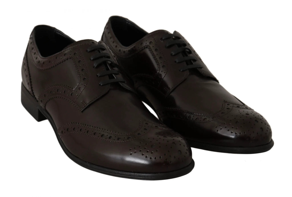 Dolce & Gabbana Brown Leather Broques Oxford Wingtip Shoes by Dolce & Gabbana